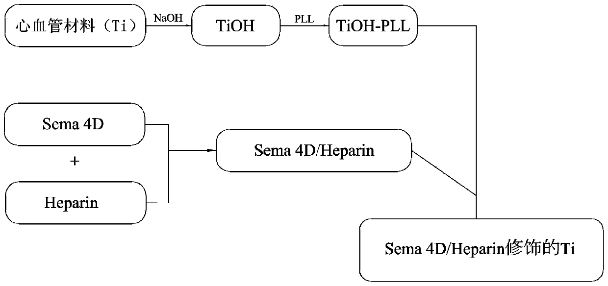 A method of constructing sema 4D/Heparin microenvironment on the surface of cardiovascular implant materials