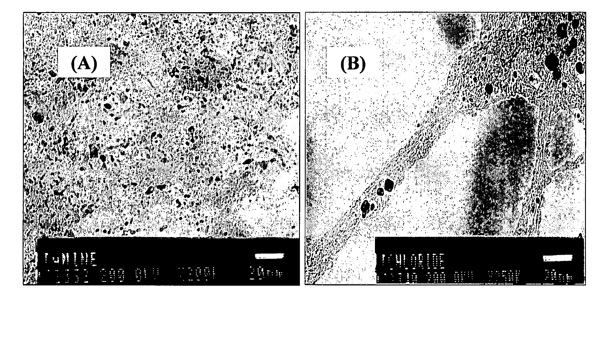 Carbon nanotube pastes and methods of use