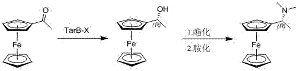 Preparation process for chiral (R)-1-ferrocenyl ethyl dimethylamine