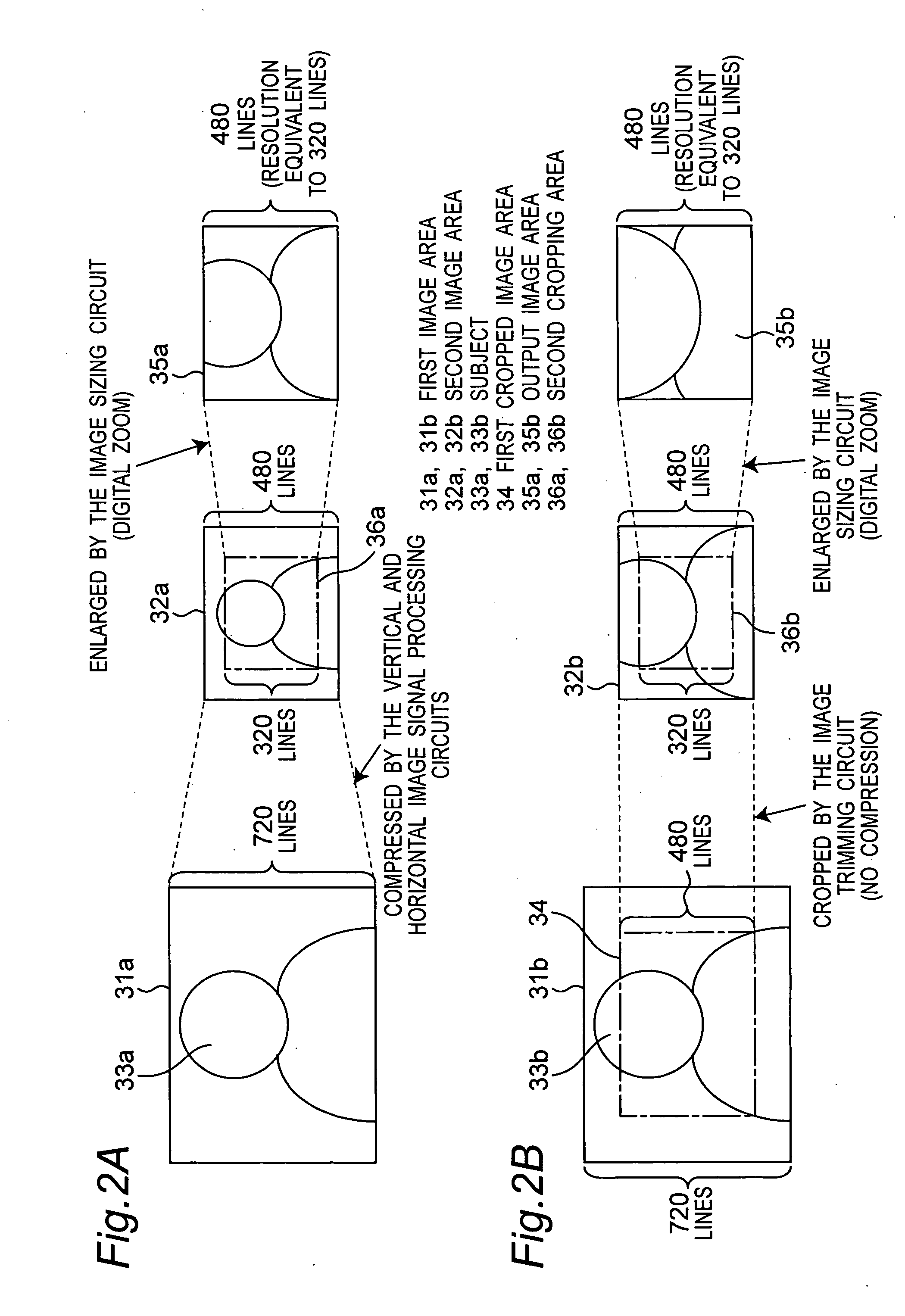Image enlarging apparatus and method