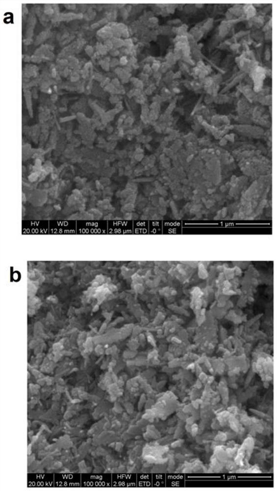 Zinc stannate photocatalyst rich in oxygen vacancies, preparation method and application