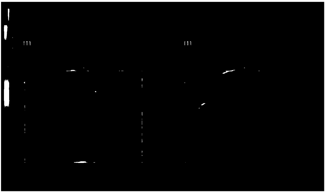 Ultrasonic elastic imaging device and elastic imaging result evaluation method