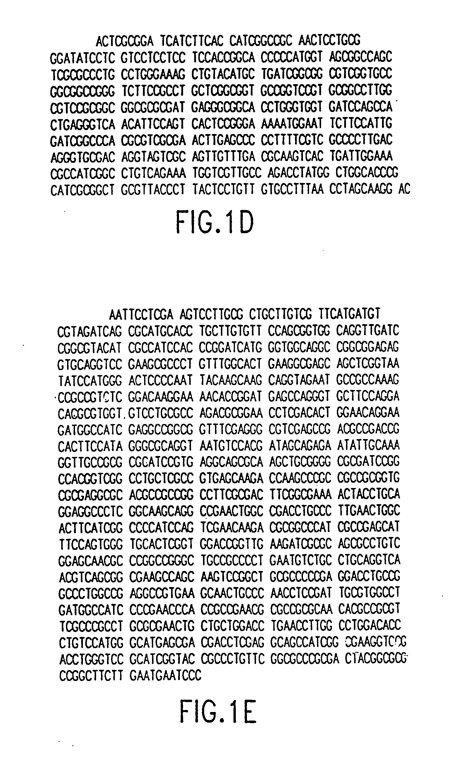 Tissue-specific and pathogen-specific toxic agents, ribozymes, dnazymes and antisense oligonucleotides, and methods of use thereof