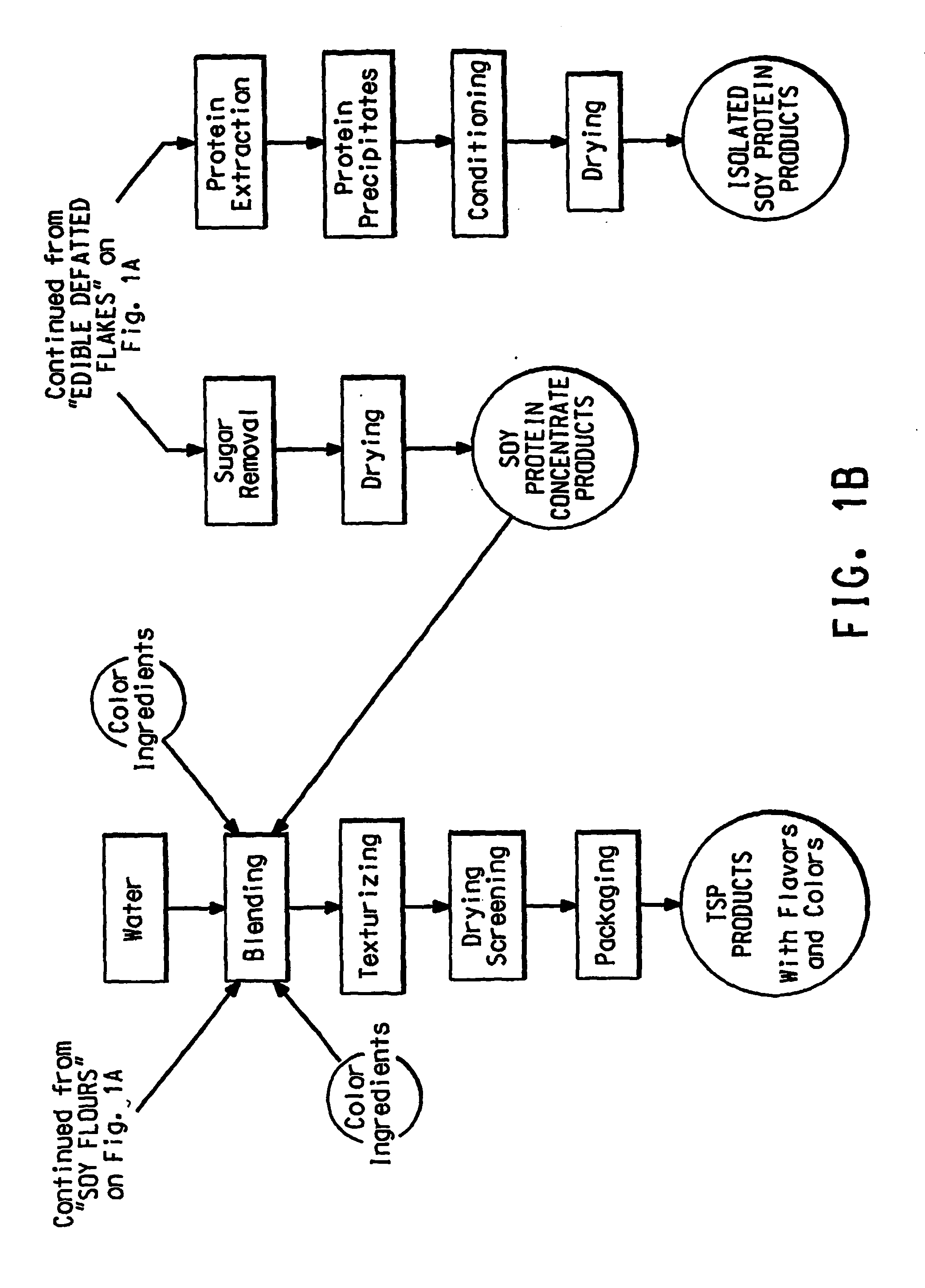 Coated soy product and method for coating