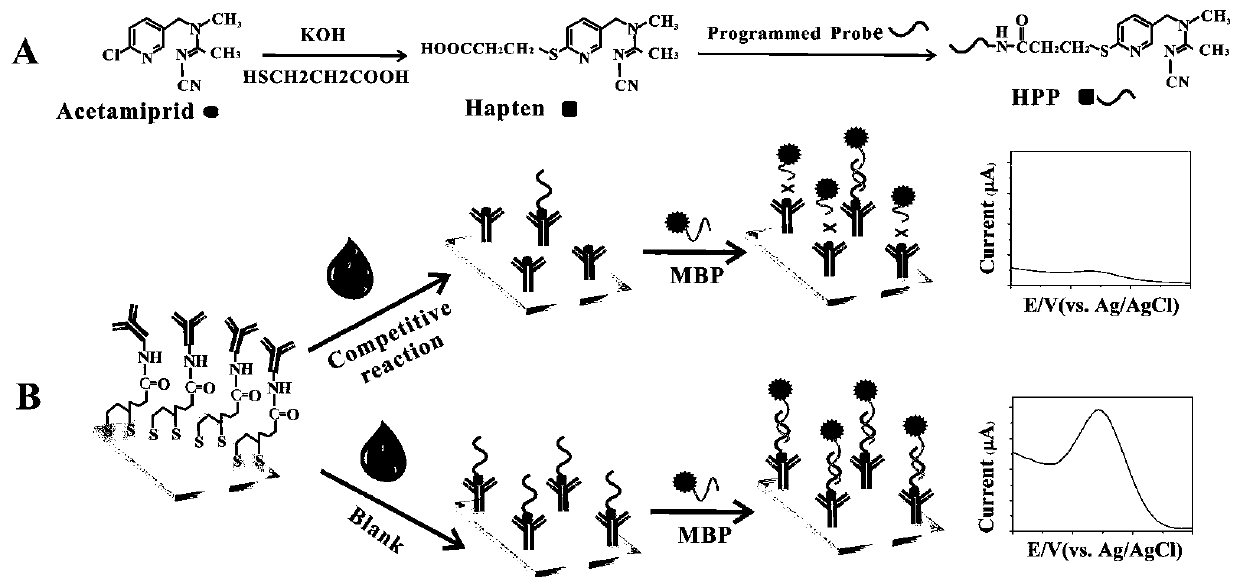 An electrochemical sensor for detecting acetamiprid, its preparation method and application