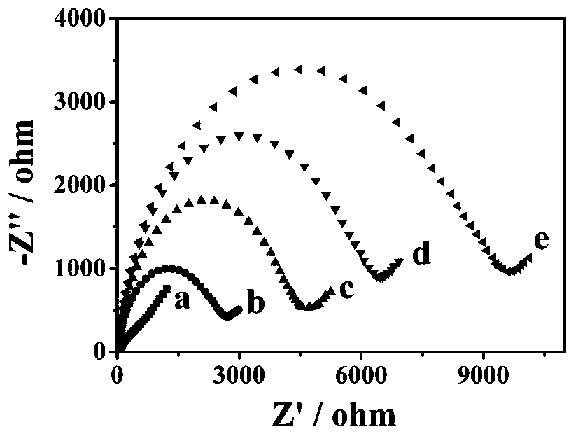 An electrochemical sensor for detecting acetamiprid, its preparation method and application