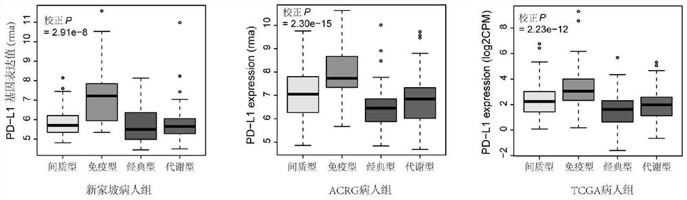 Classification of gastric cancer subtypes and application thereof