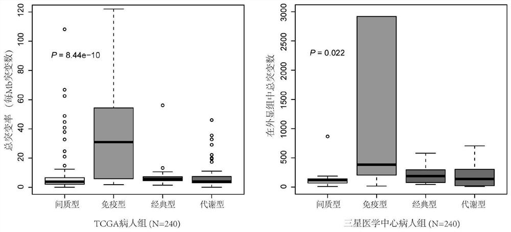 Classification of gastric cancer subtypes and application thereof