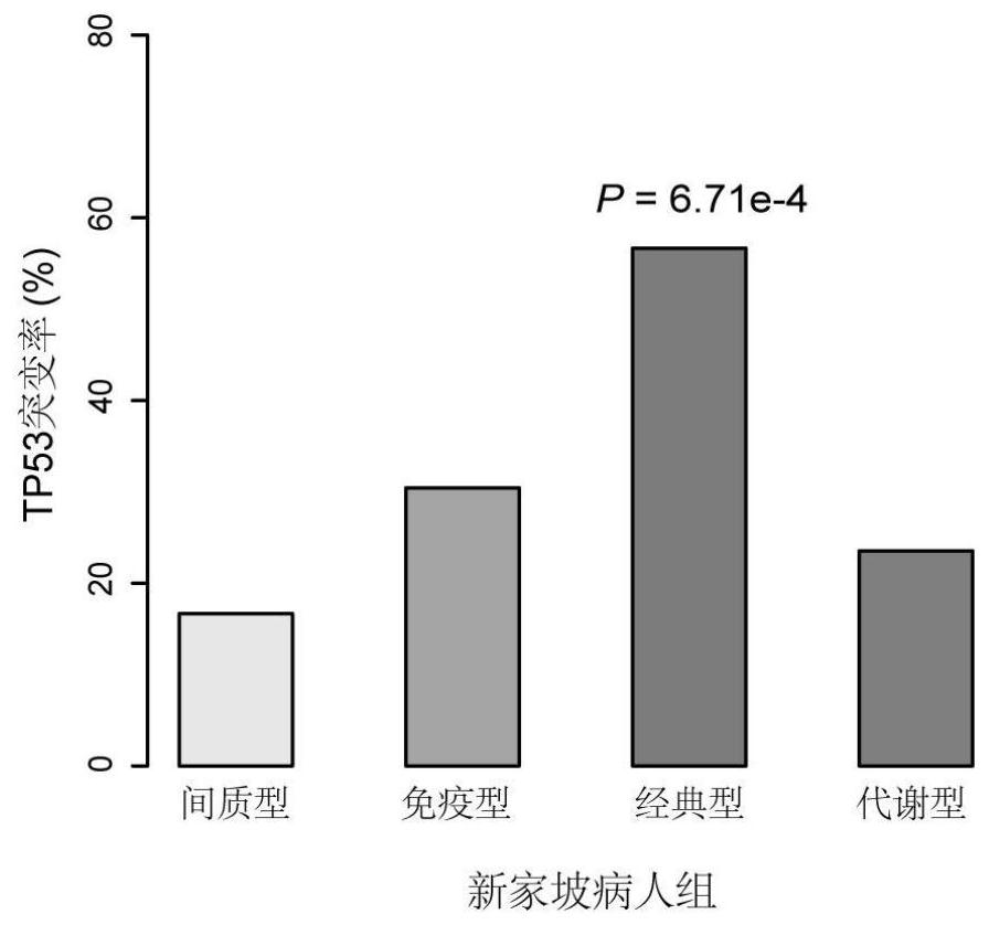 Classification of gastric cancer subtypes and application thereof