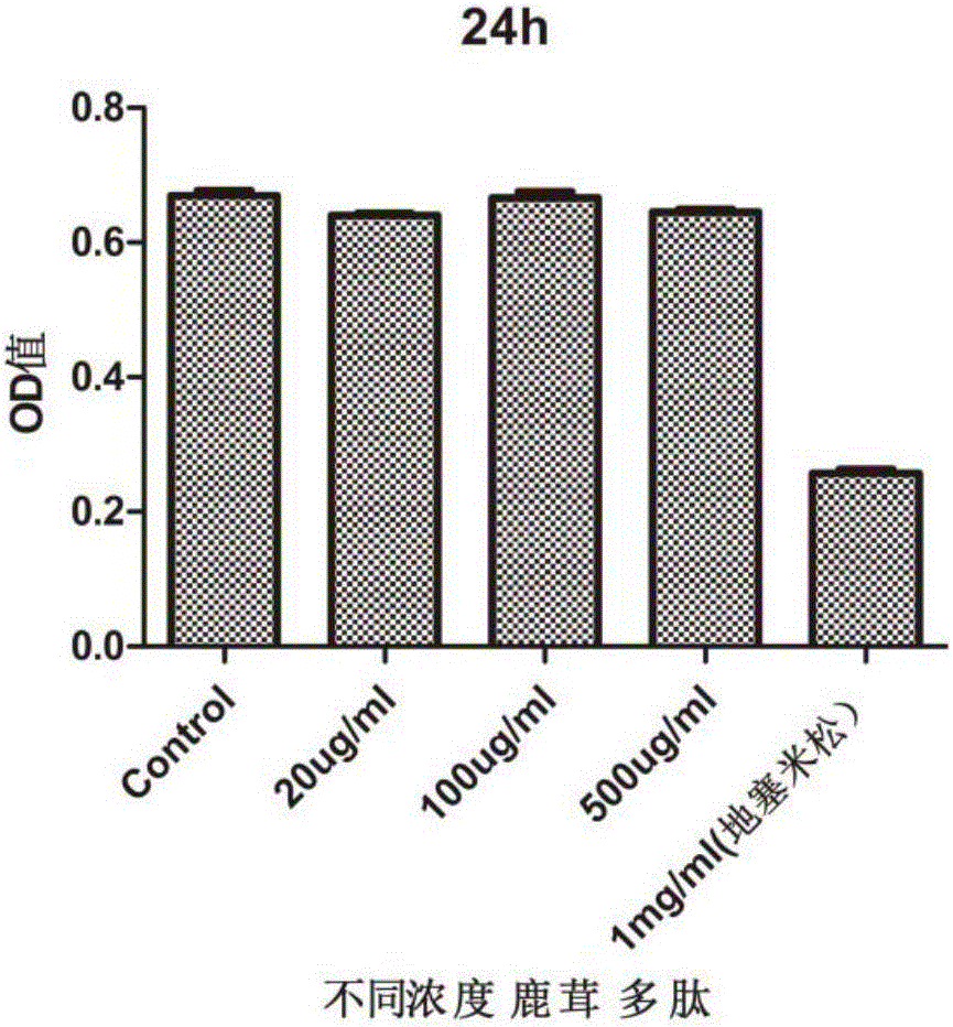 Application of pilose antler peptide in promoting proliferation of mesenchymal stem cells