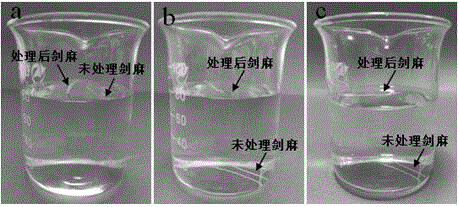 Method for preparing waterproof material by modifying surfaces of sisal fibers with water-based organosilicone