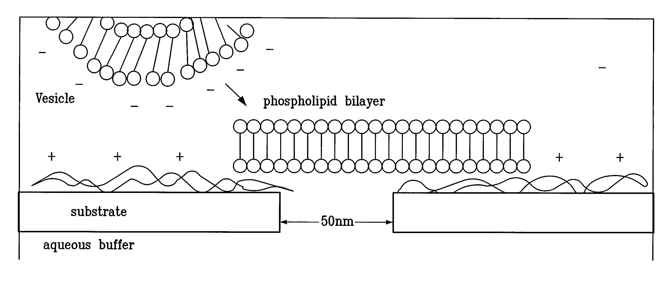 Nanopore arrays and sequencing devices and methods thereof