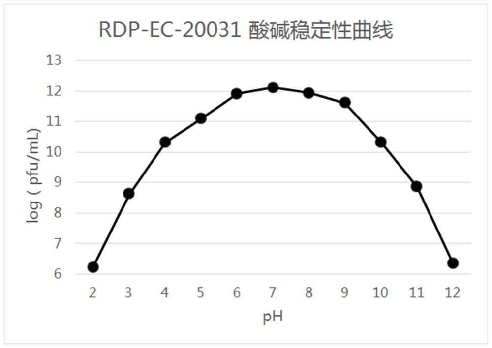 High-temperature-resistant Escherichia coli phage RDP-EC-20031 and application of high-temperature-resistant Escherichia coli phage RDP-EC-20031