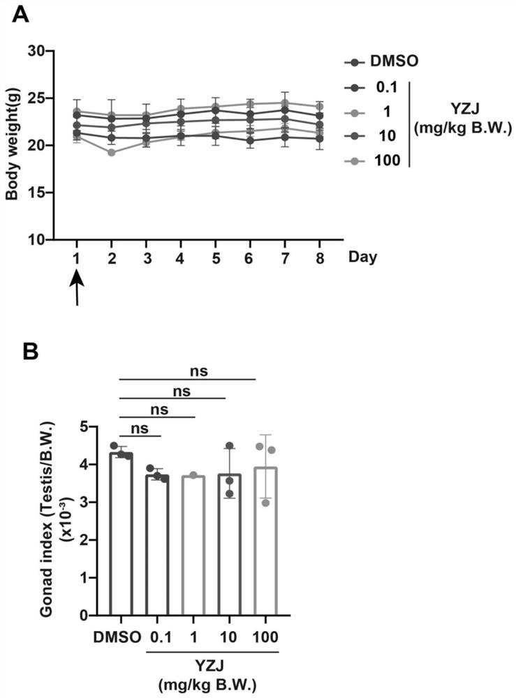 Application of kinase inhibitor in preparation of male contraceptive or product