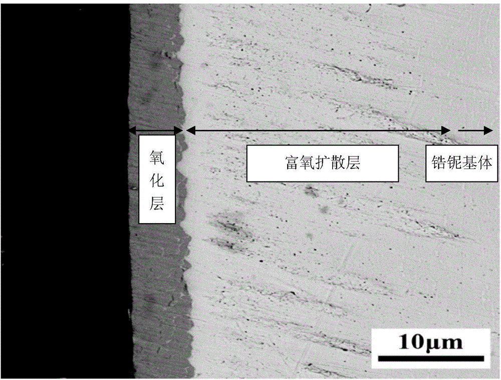 High-wear-resistance and high-tenacity medical zirconium alloy and preparation method and application thereof
