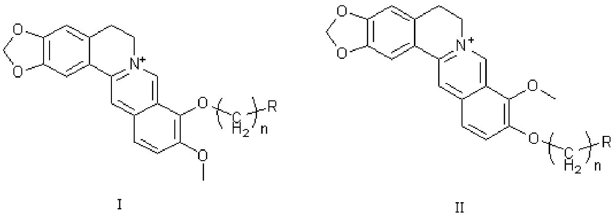 Application of berberine and its derivatives as hexosaminidase inhibitors