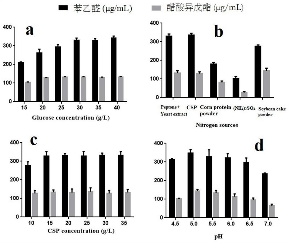 Fruity-flavor yeast, its screening method and its application in cigarettes