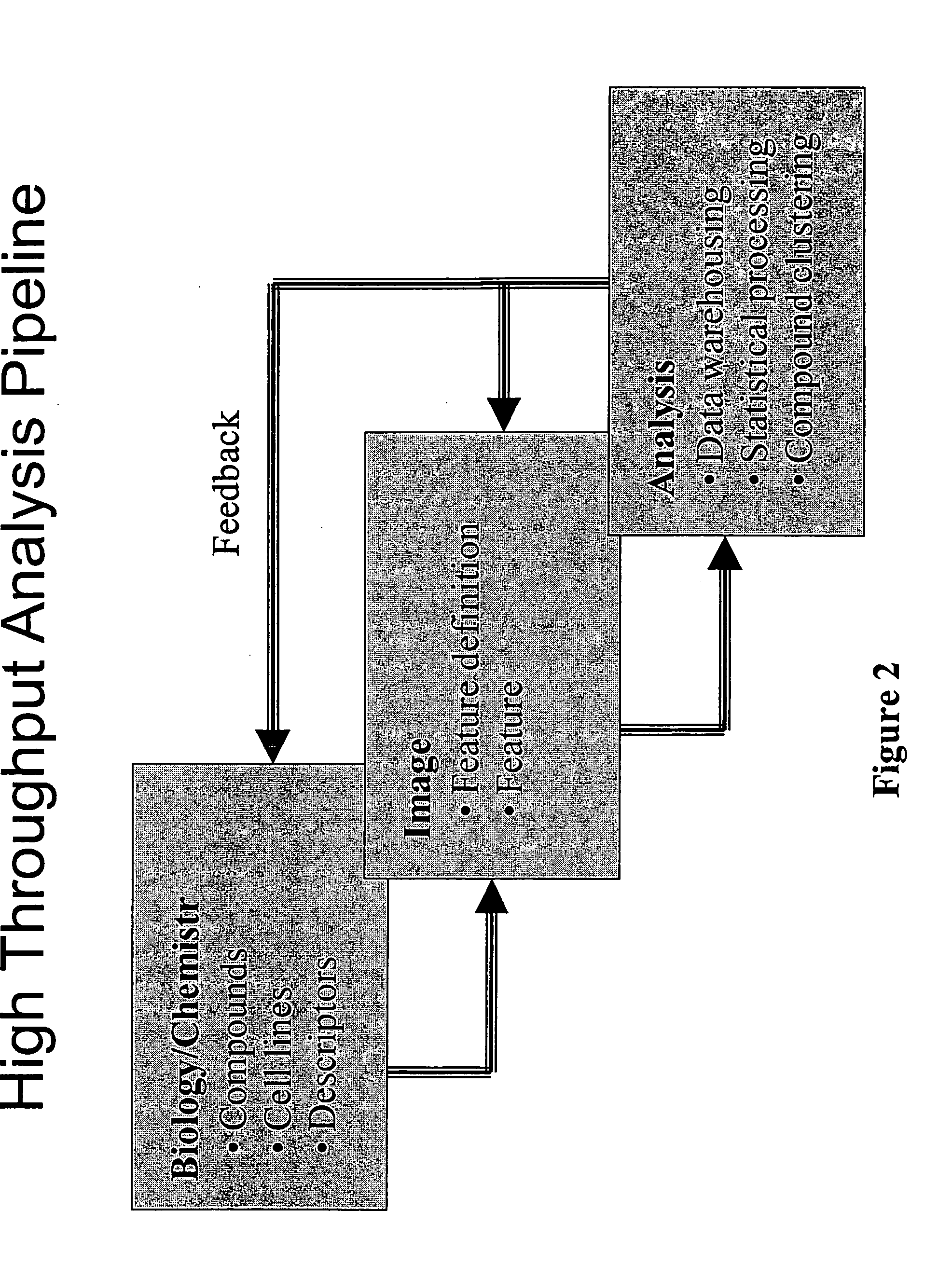 Computer-assisted analysis