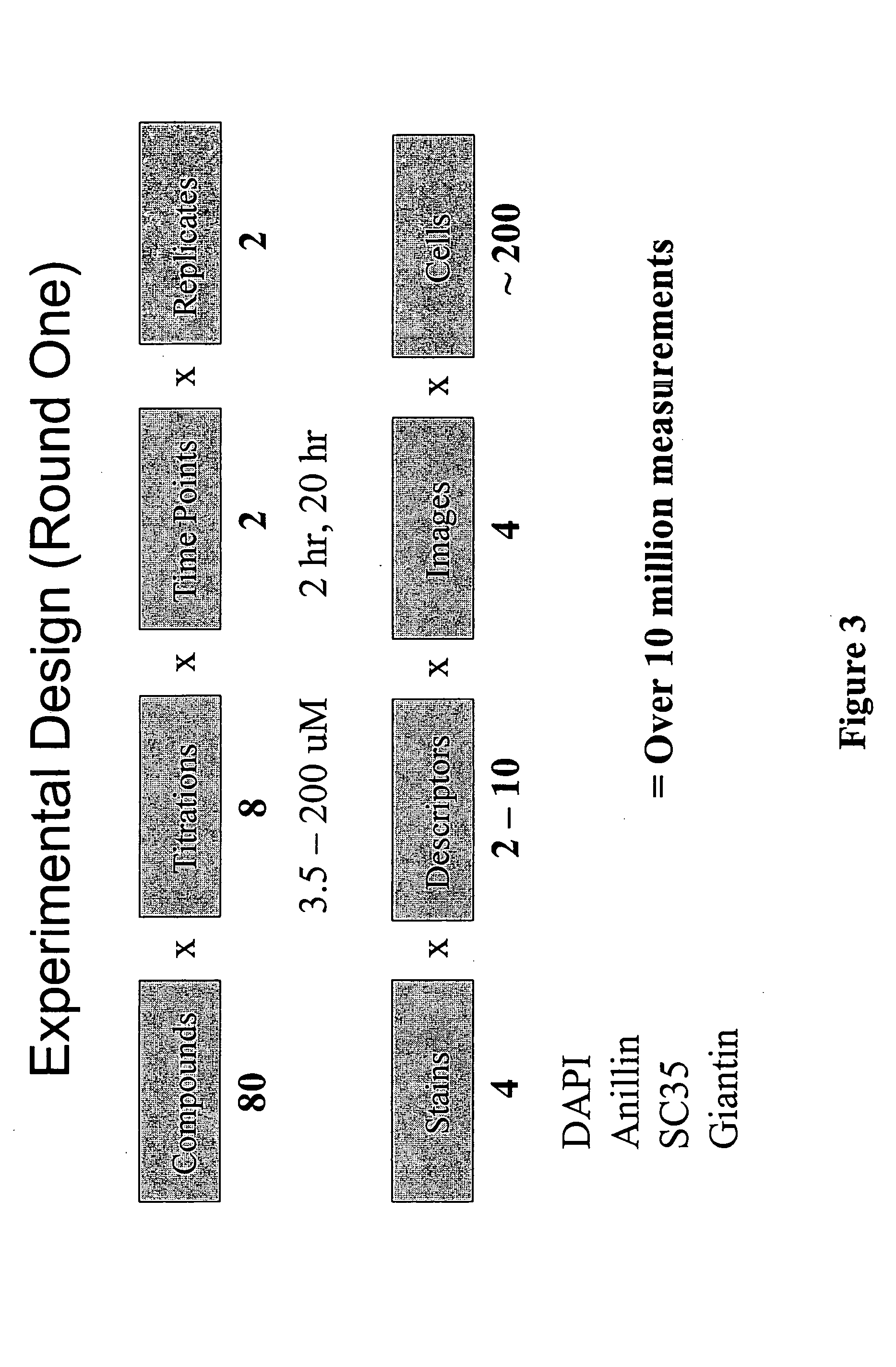 Computer-assisted analysis