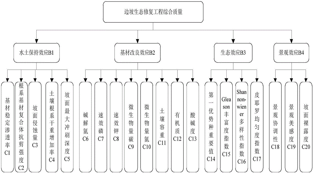 Dynamic feedback adjustment method for integrated evaluation and guidance of artificial regulation of slope ecological restoration by using slope ecological restoration project