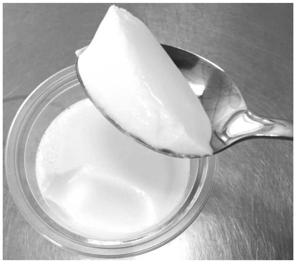 Stirring type bovine collagen low-fat yoghourt and processing method