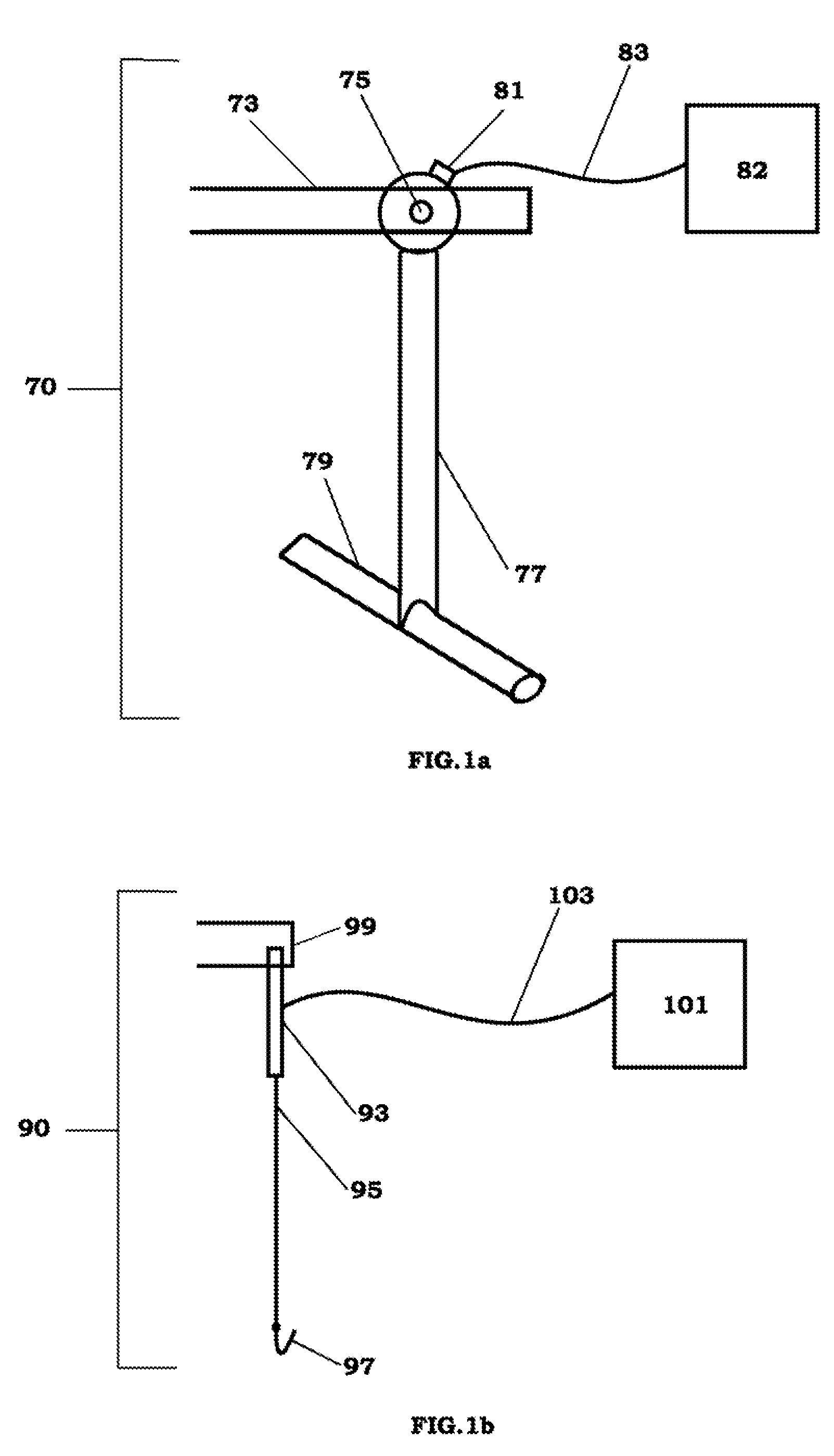 Complex pendulum biomass sensor