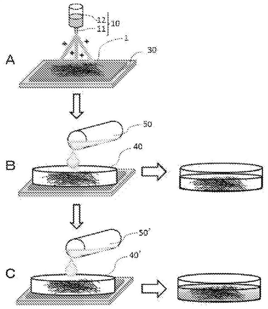 Surface-modified nanofiber, electrolyte membrane, method for producing electrolyte membrane, membrane electrode assembly, and solid polymer fuel cell