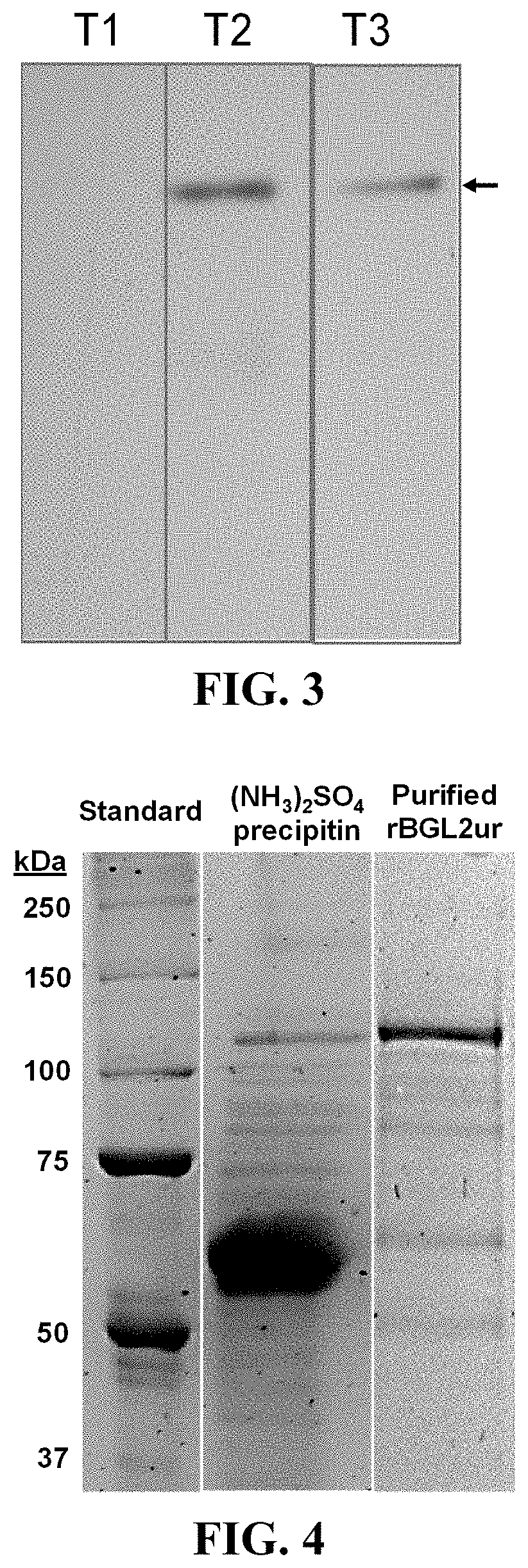 Tube-precipitin antigen of coccidioides posadash