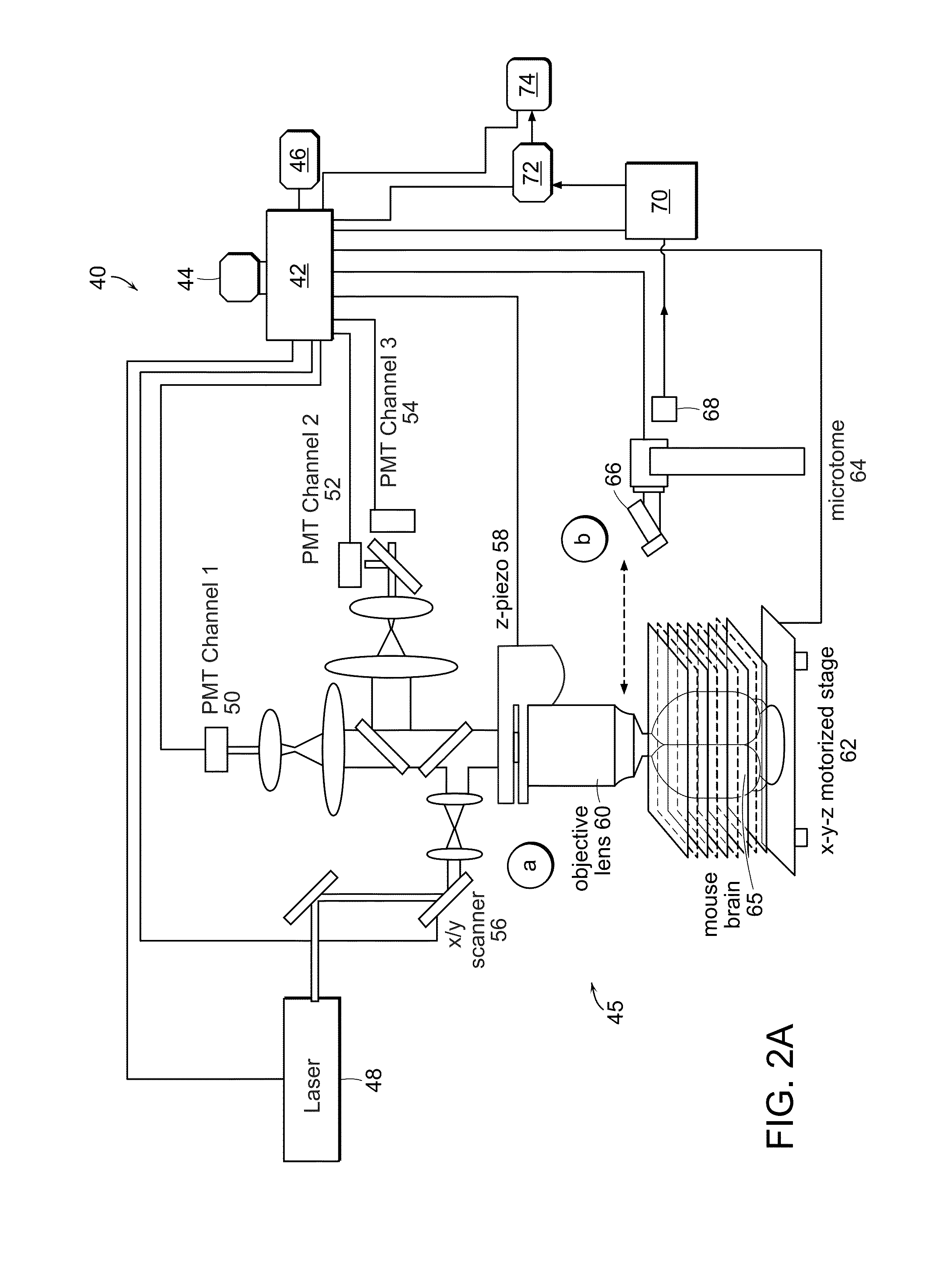 Systems and methods for imaging and processing tissue