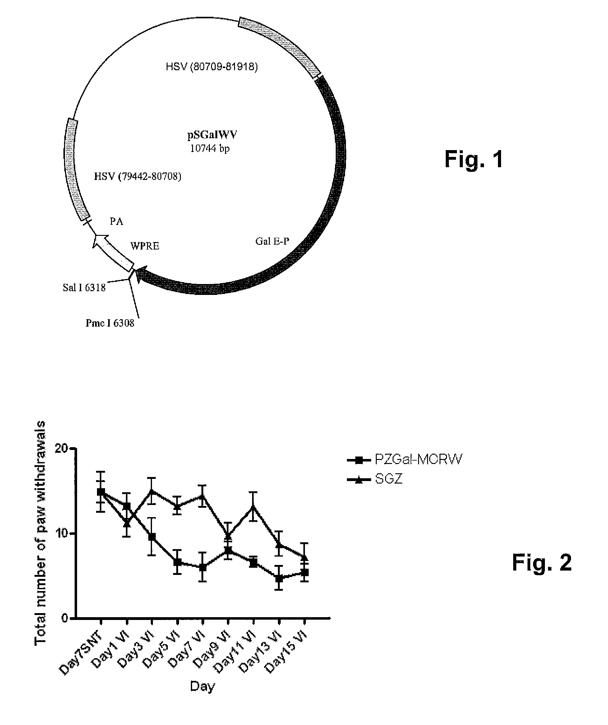 Expression of Anti-Nociceptive Compounds from Endogenously Regulated Promoters