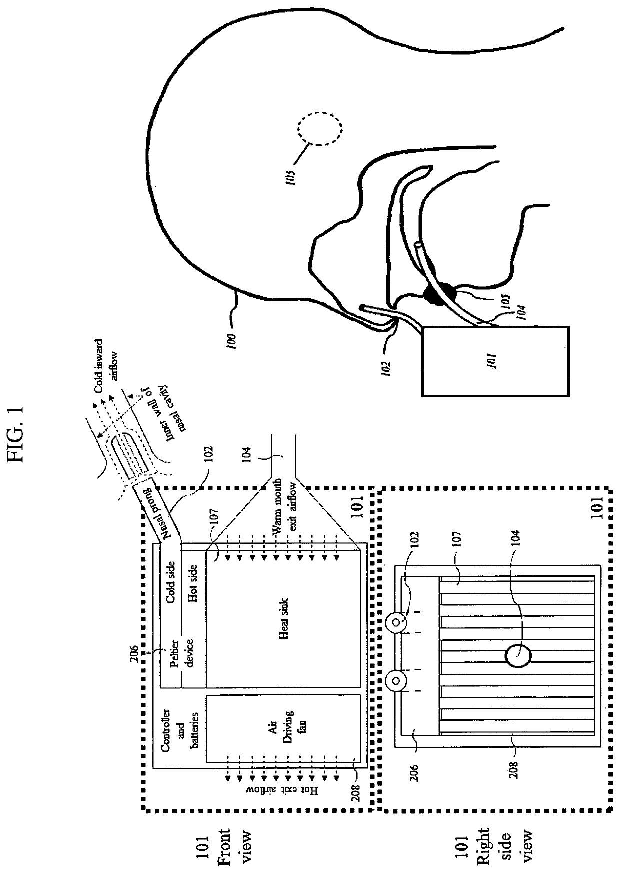 Brain cooling method and portable device