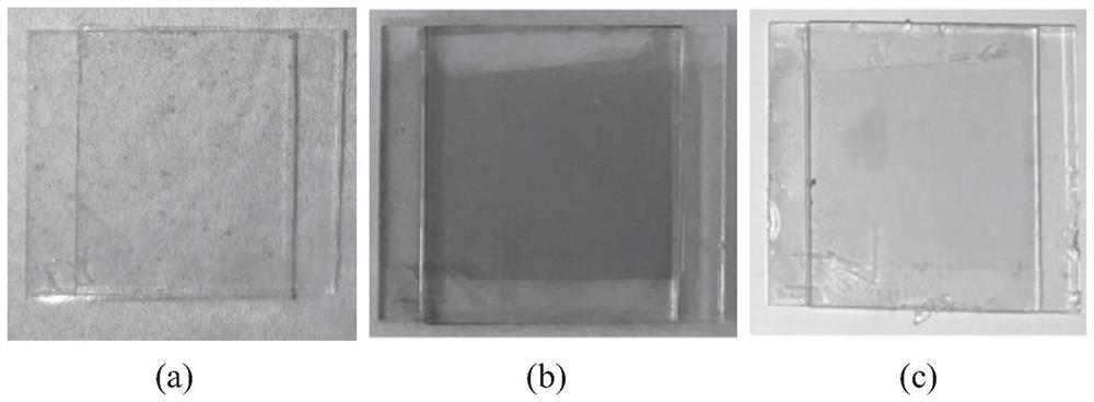 a kind of wo  <sub>3</sub> Electrochromic thin film and preparation method thereof