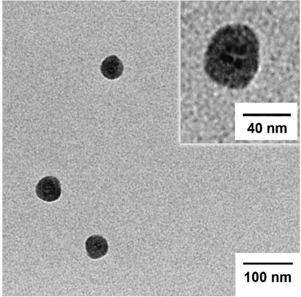 Ternary molecular brush polymer with double responsivenesses to pH and temperature and nano capsule prepared from ternary molecular brush polymer