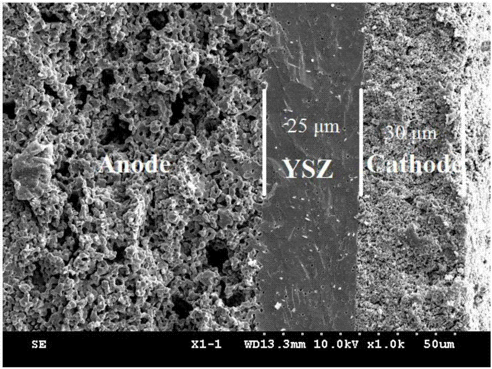 Simple preparation method for anode support of solid oxide fuel cell