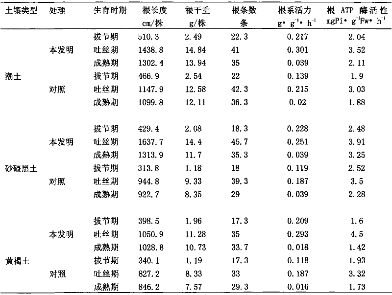 Physical structure regulating method of high-yield soil for summer corns