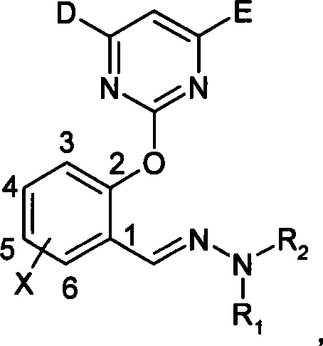 (2-pyrimidine oxygen base)benzaldehyde hydrazone compounds, preparation method and uses thereof
