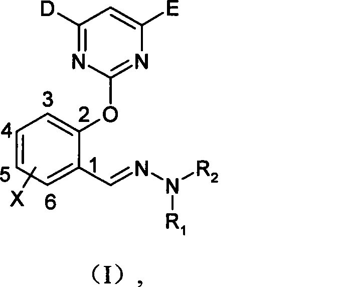 (2-pyrimidine oxygen base)benzaldehyde hydrazone compounds, preparation method and uses thereof