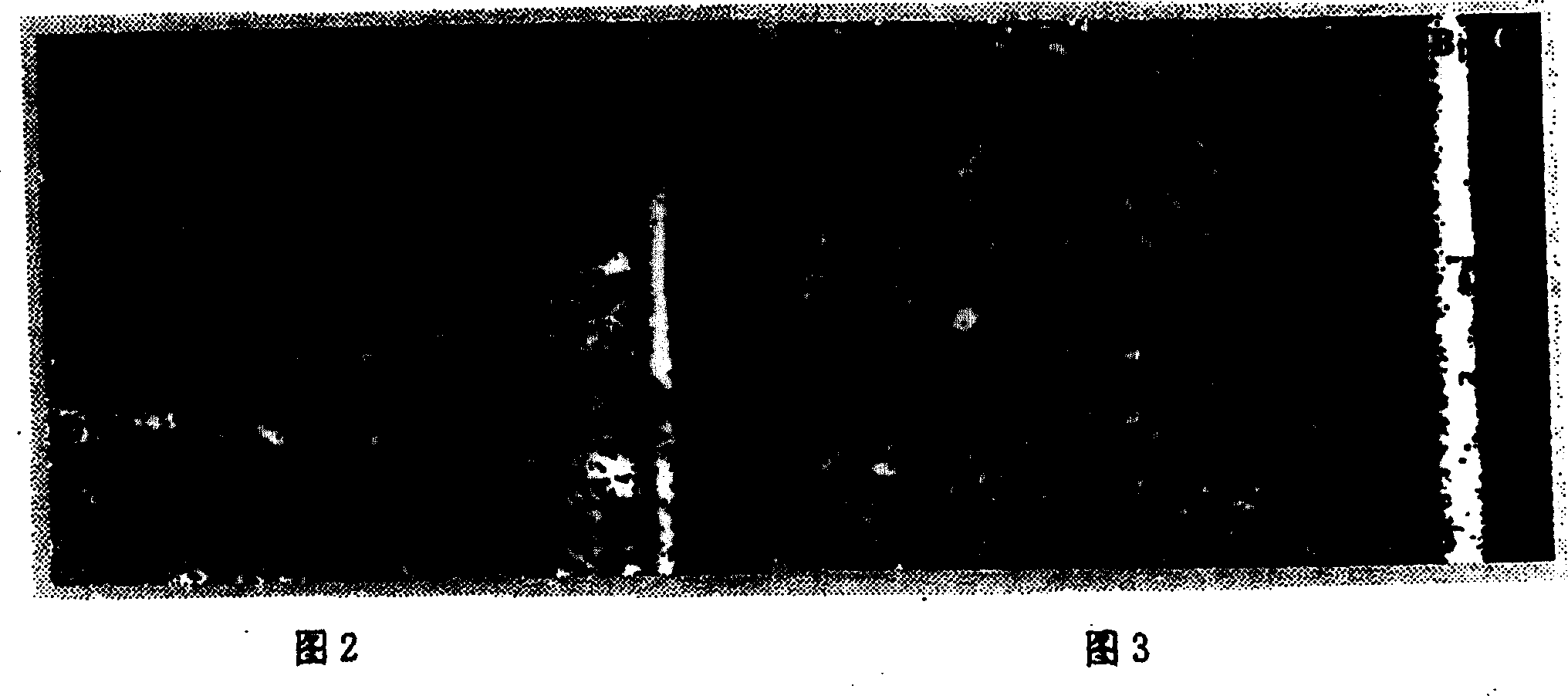 Process for producing metal carbonide hard face coating and application thereof