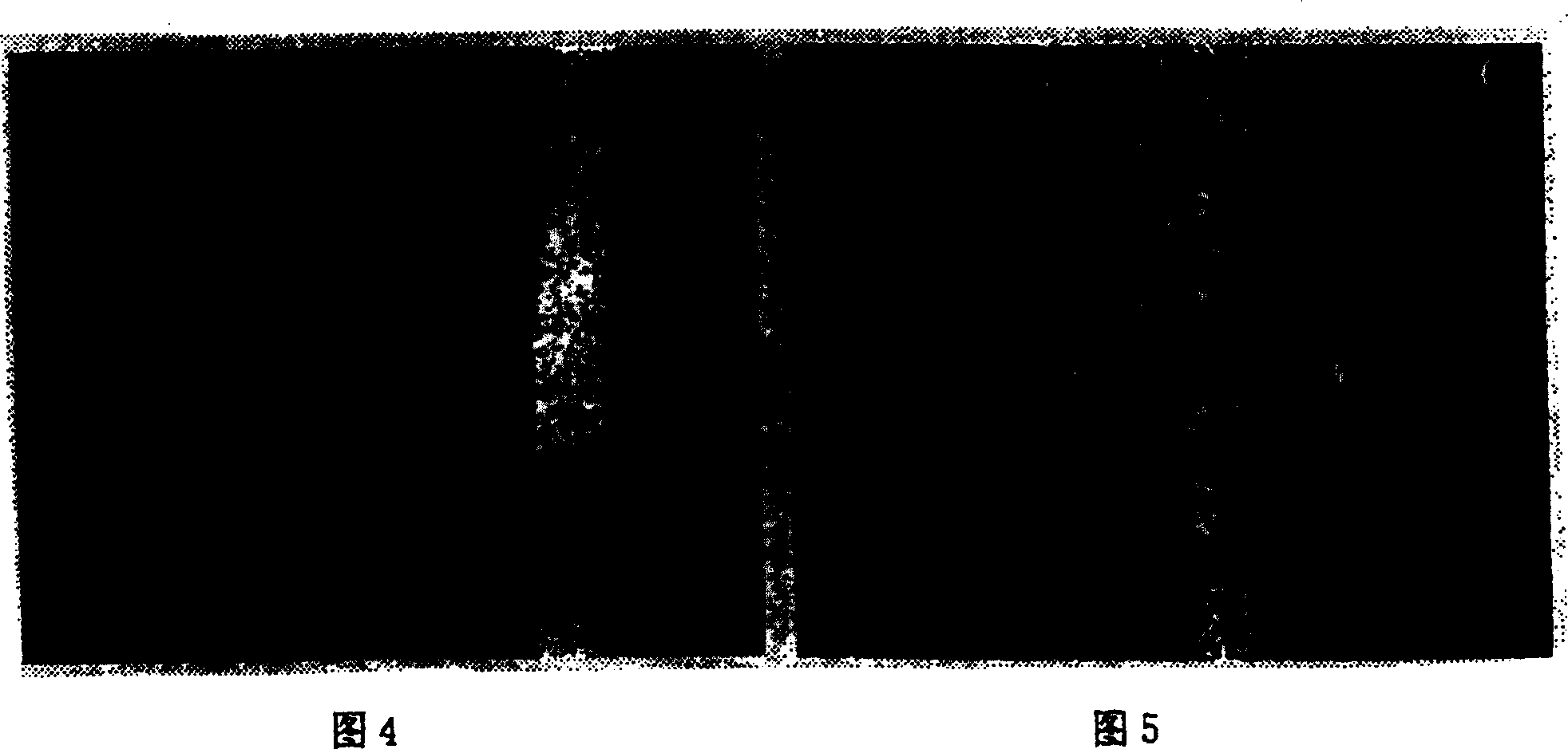 Process for producing metal carbonide hard face coating and application thereof