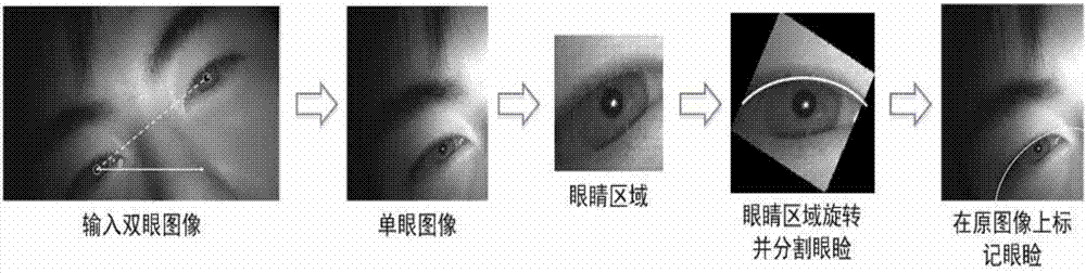 Iris recognition method and terminal
