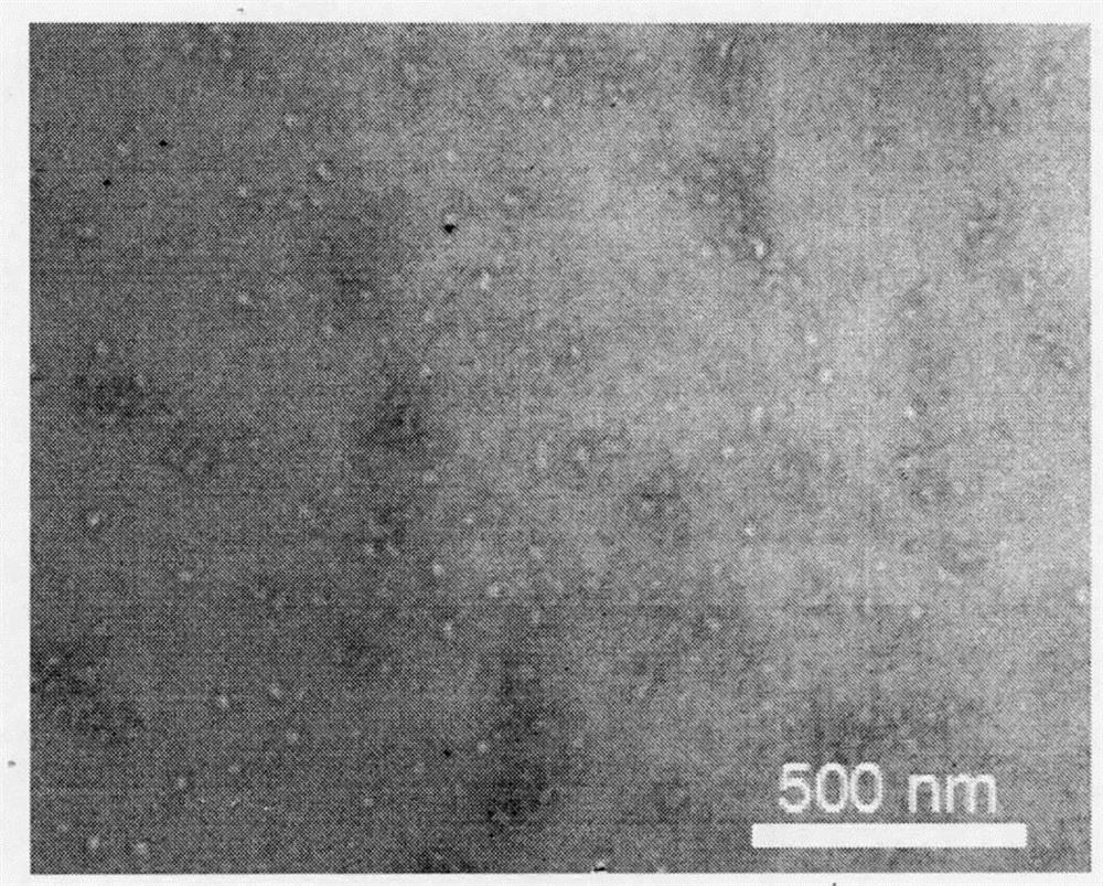 Polypyrrole porous hollow nano microsphere and preparation method and application thereof