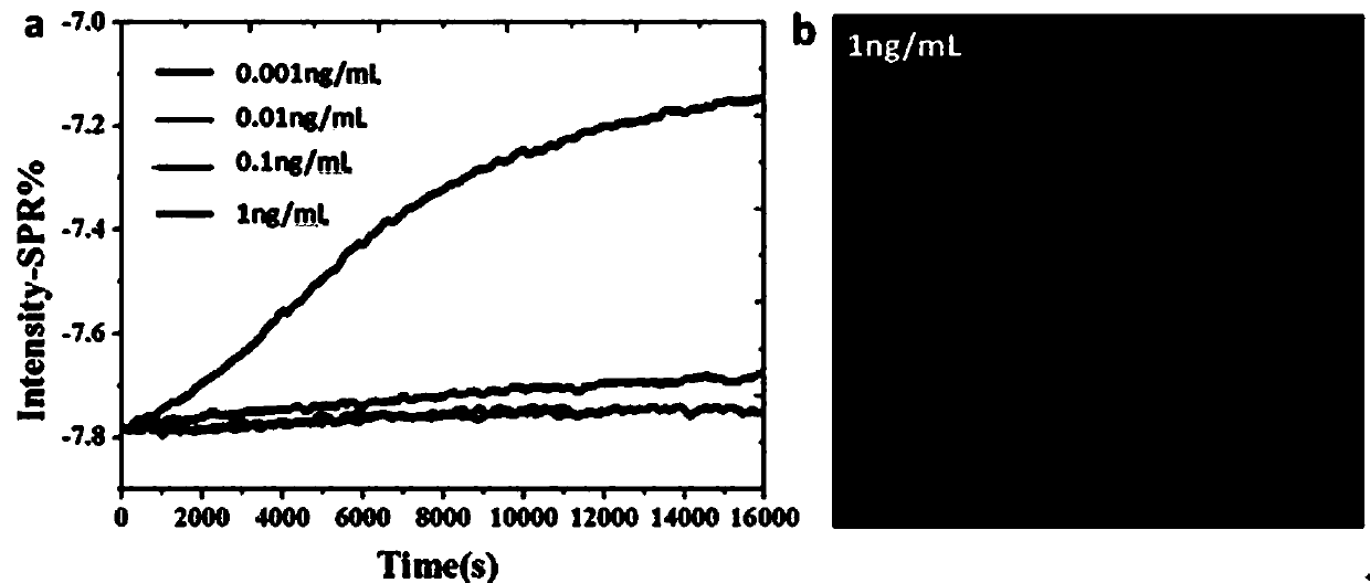 Wavelength/angle modulation free conversion polarized fluorescence imaging surface plasmon resonance instrument