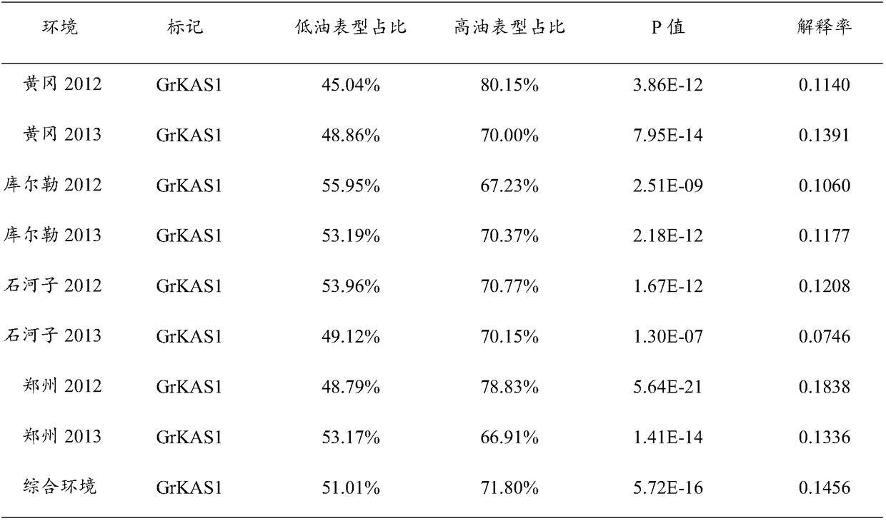 Molecular marker of upland cottonseed oil content gene GhKAS1 and screening method thereof