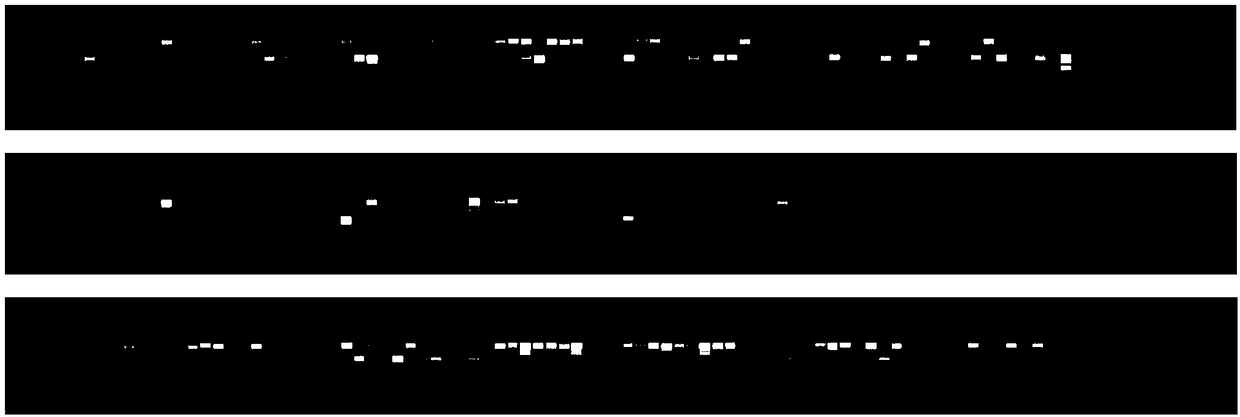 Molecular marker of upland cottonseed oil content gene GhKAS1 and screening method thereof