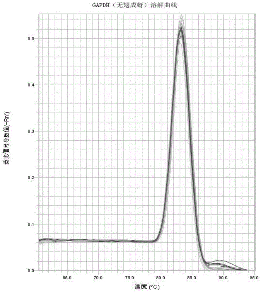 Rhopalosiphum padi GAPDH reference gene partial sequence, cloning method and application