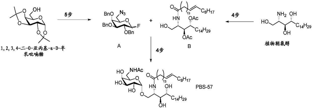 Method of preparation of alpha-galactosyl ceramides compounds