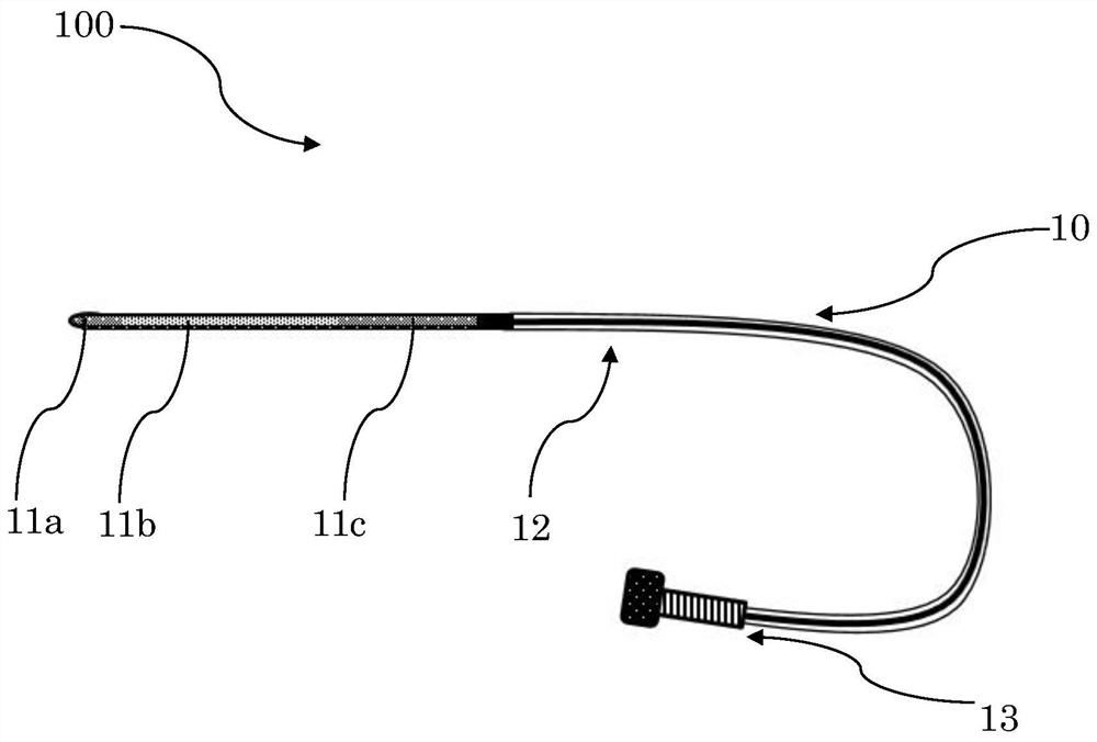 Arteriovenous blood vessel circulation abnormal cell capture device
