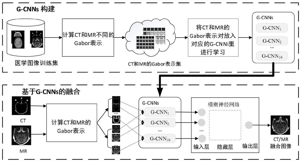 Multi-modal medical image fusion based on multi-CNN combination and fuzzy neural network