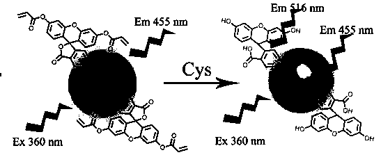 Preparation and application of a water-soluble fluorescent sensor capable of ratiometric detection of cysteine