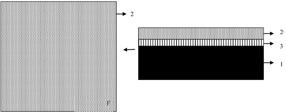 Manufacturing method of non-invasive graphene nano-scale device